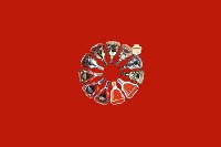神农架市回收红酒